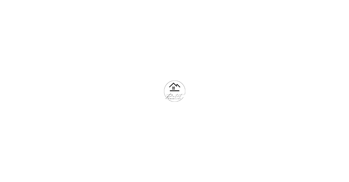 Logo de l'agence Petit Immobilier